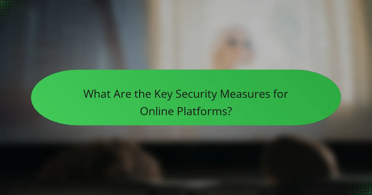 What Are the Key Security Measures for Online Platforms?