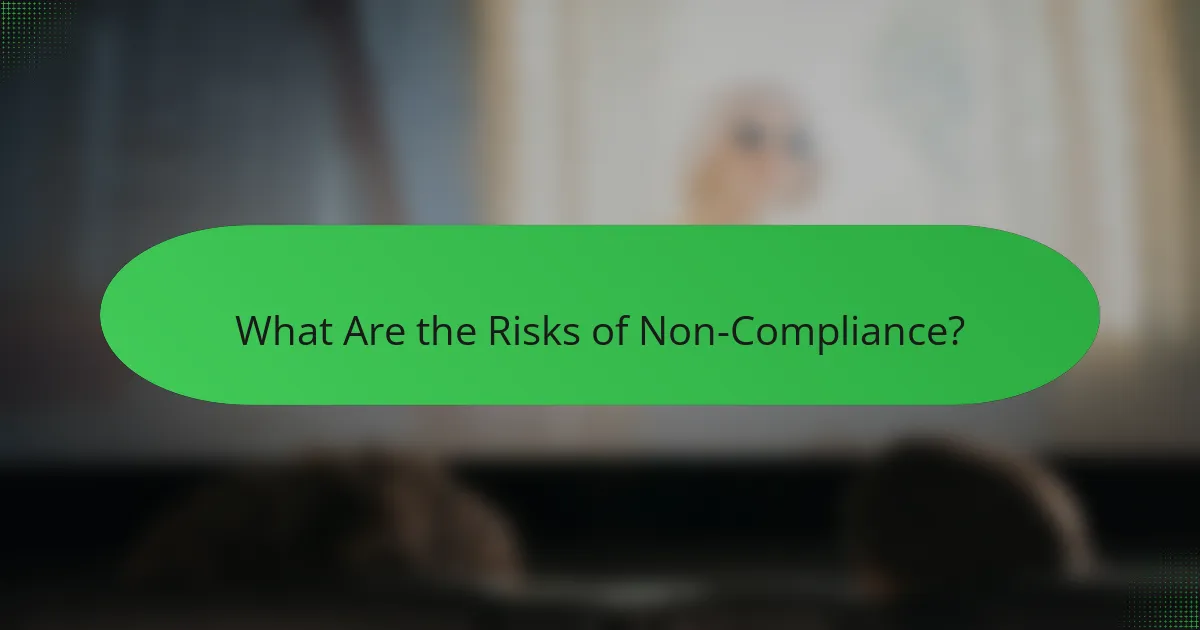 What Are the Risks of Non-Compliance?