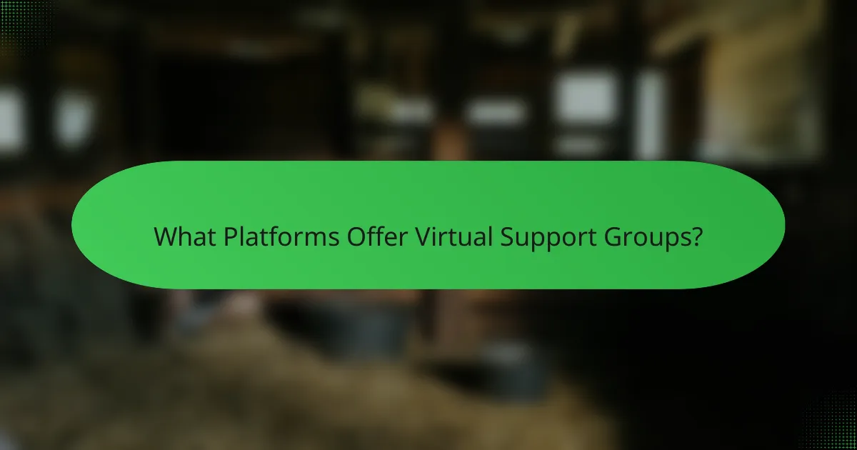 What Platforms Offer Virtual Support Groups?
